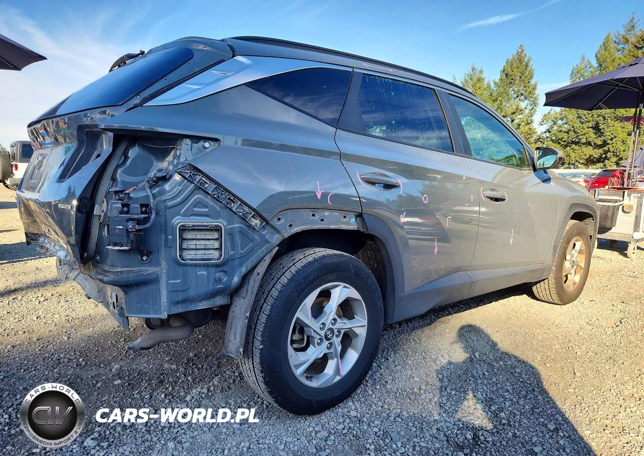 2024 Hyundai Tucson Sel VIN:5NMJBCDE1RH341247 - 3