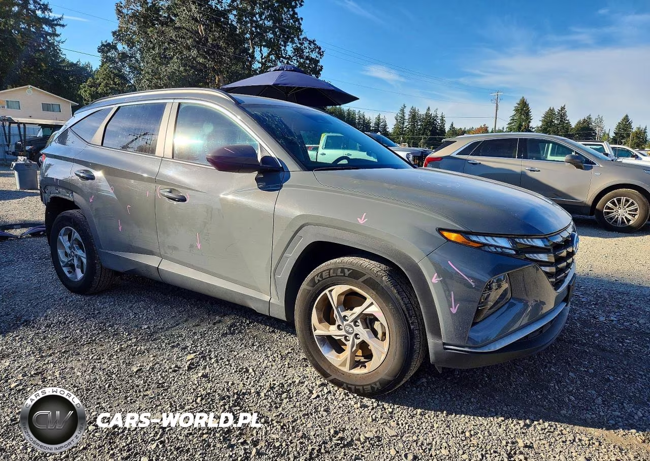 2024 Hyundai Tucson Sel VIN:5NMJBCDE1RH341247 - 4