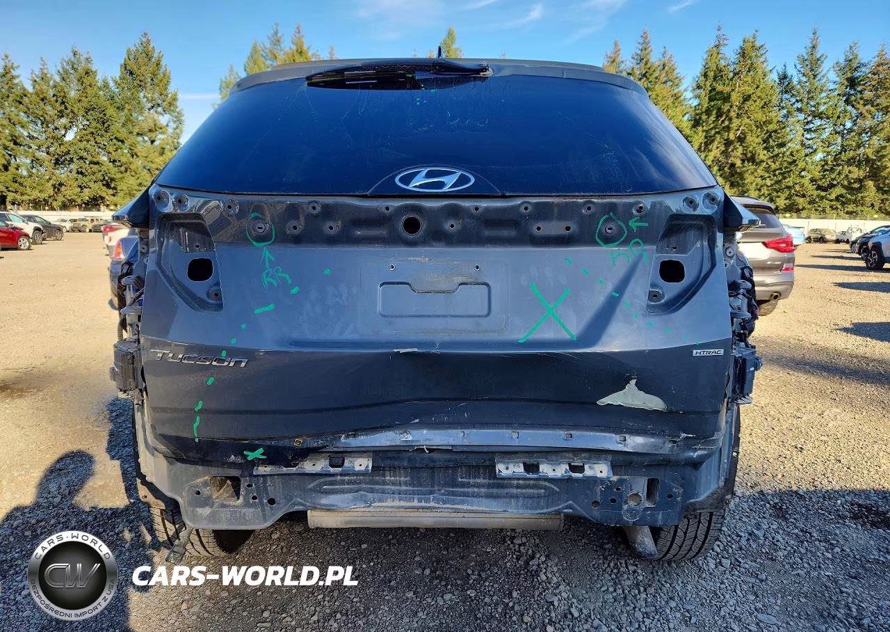 2024 Hyundai Tucson Sel VIN:5NMJBCDE1RH341247 - 6