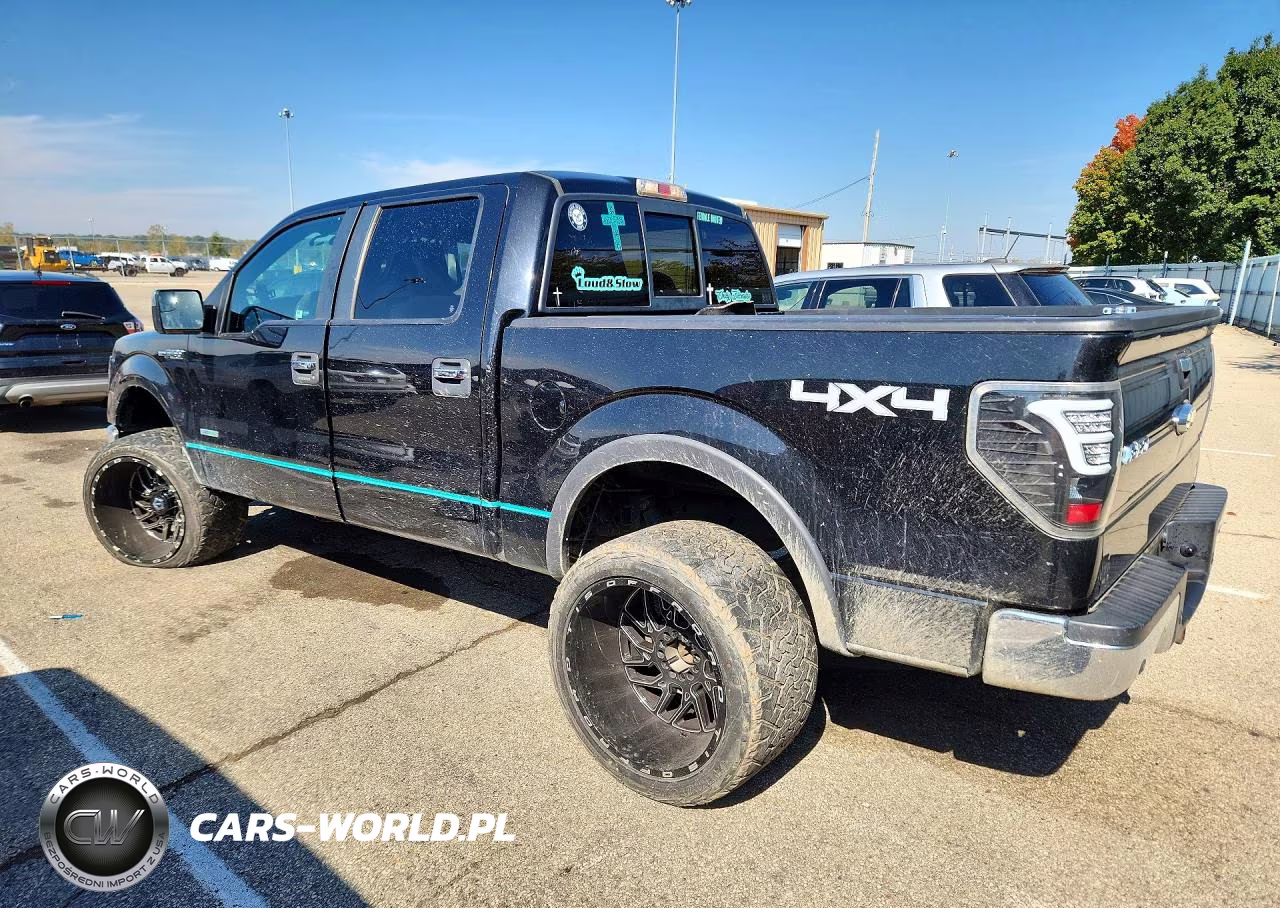 FORD F-150 VIN:1FTFW1ET6DKD93675 - 2