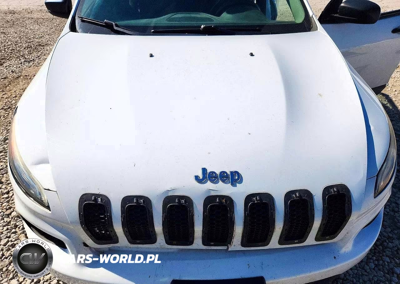 2016 Jeep Cherokee Sport VIN:1C4PJMAB3GW157225 - 12