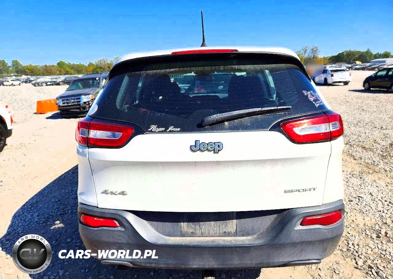 2016 Jeep Cherokee Sport VIN:1C4PJMAB3GW157225 - 6