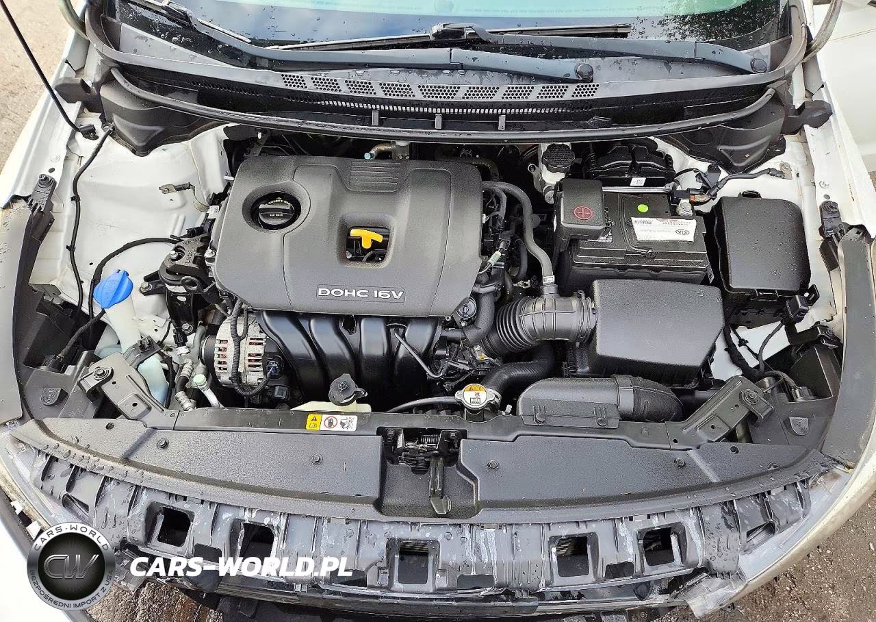 2017 Kia Forte Lx VIN:3KPFK4A7XHE082572 - 11
