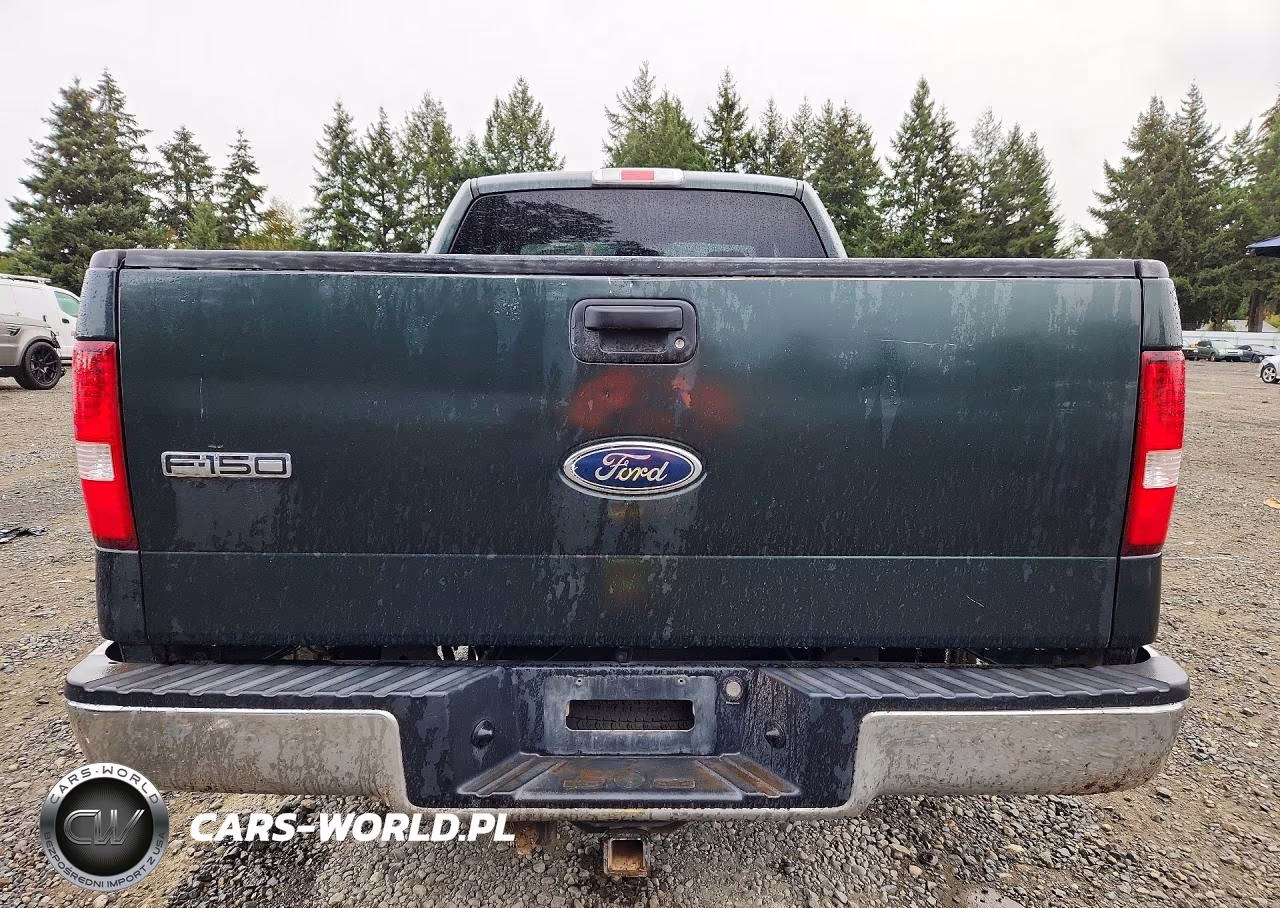 2004 Ford F150 VIN:1FTPX145X4FA23231 - 6