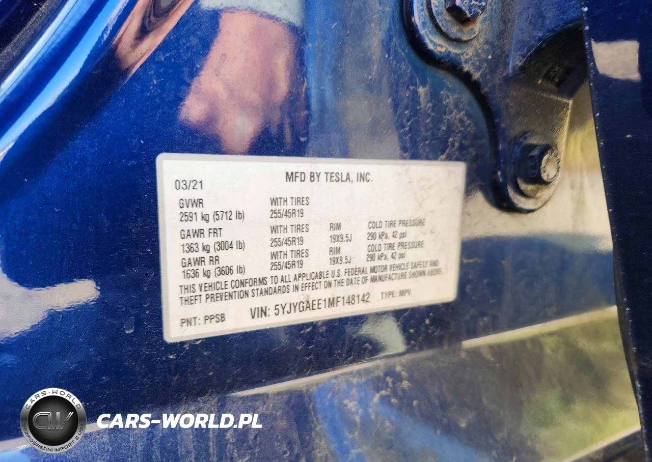 2021 Tesla Model Y VIN:5YJYGAEE1MF148142 - 12