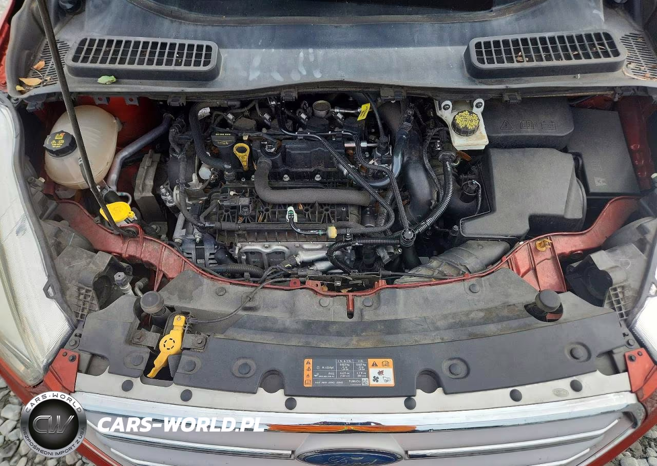 2019 Ford Escape Se VIN:1FMCU0GD2KUA15990 - 12