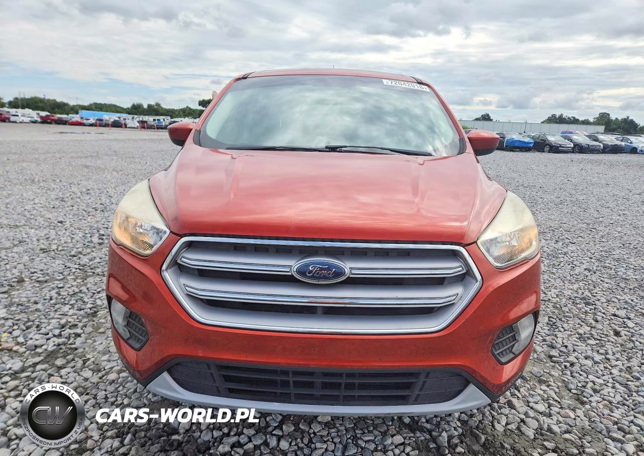 2019 Ford Escape Se VIN:1FMCU0GD2KUA15990 - 5