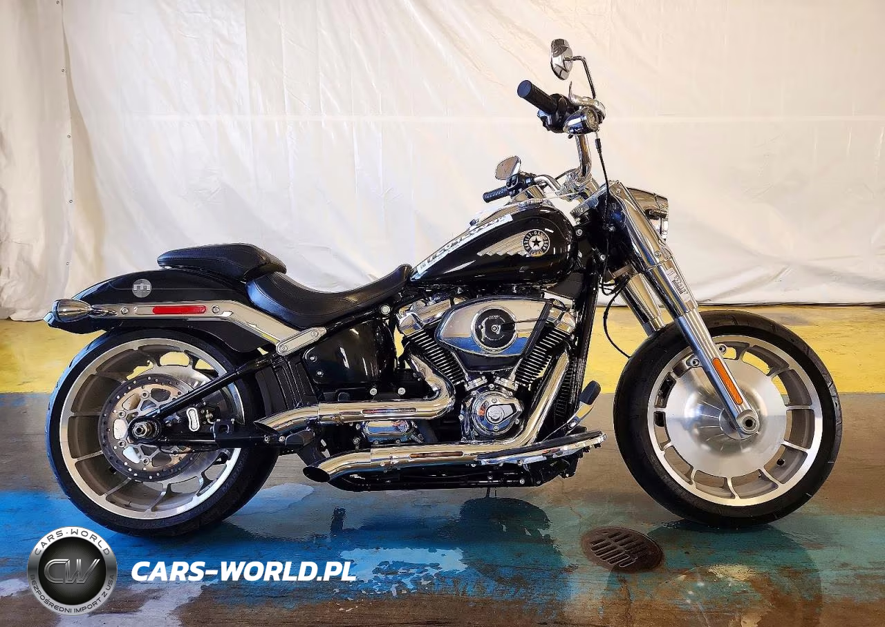 2025 Harley-Davidson Flfb