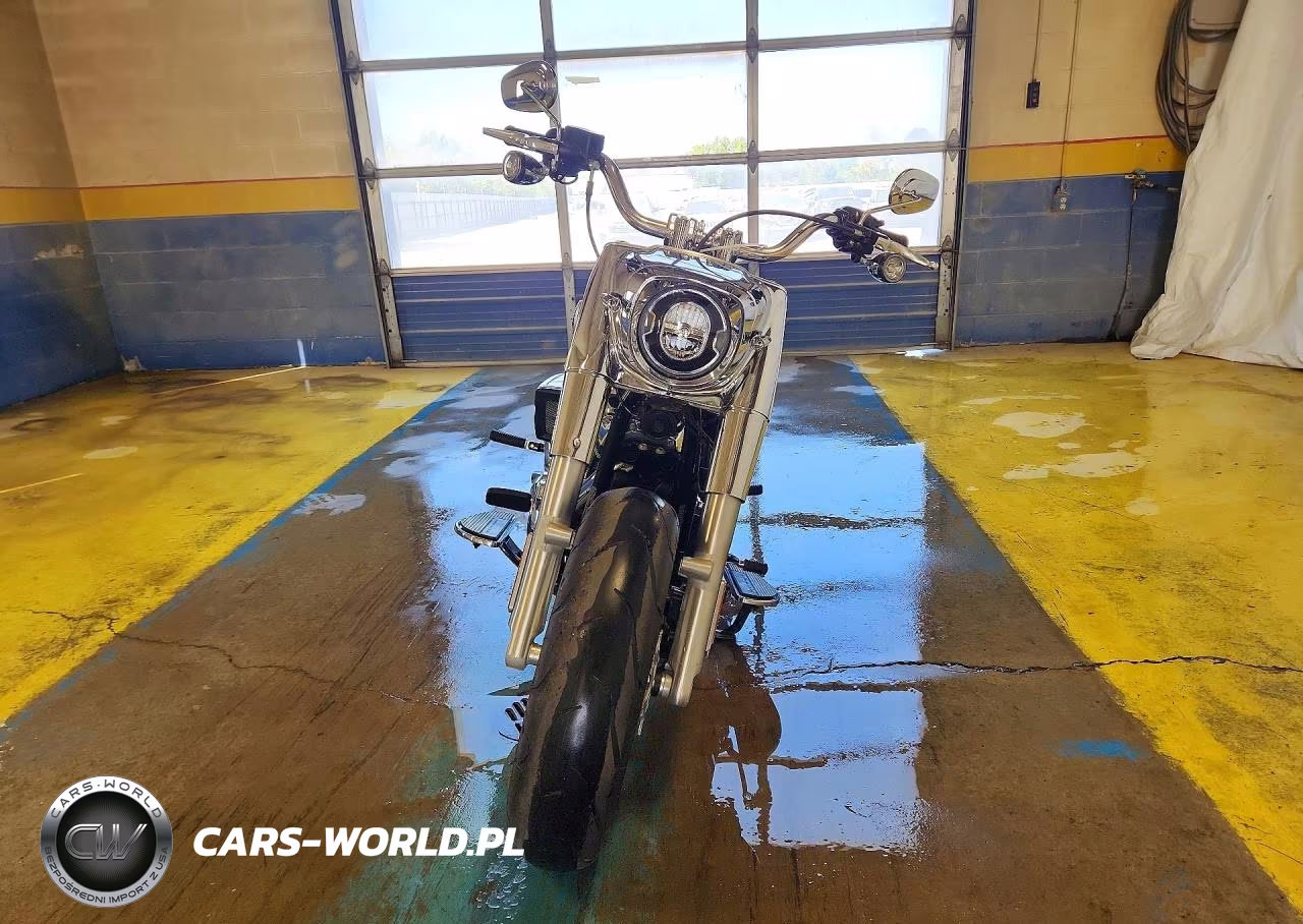 2025 Harley-Davidson Flfb VIN:1HD1YF913SB032801 - 2