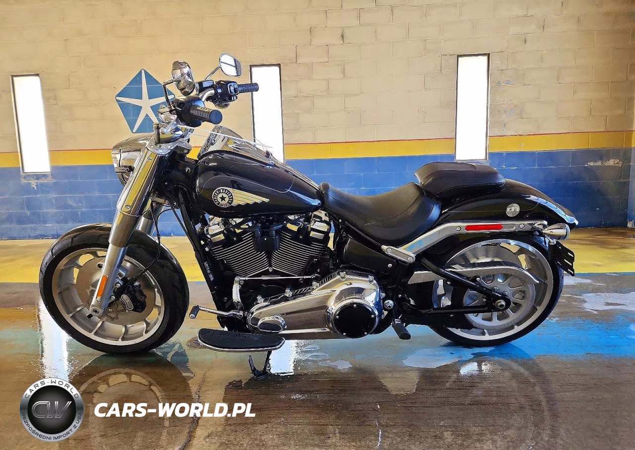 2025 Harley-Davidson Flfb VIN:1HD1YF913SB032801 - 3