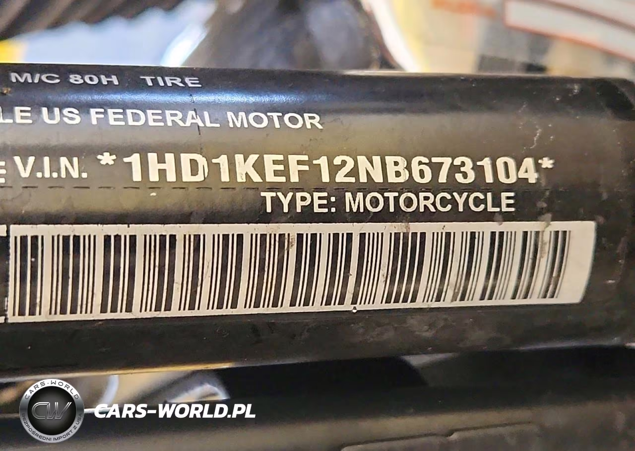 2022 Harley-Davidson Flhtk VIN:1HD1KEF12NB673104 - 10