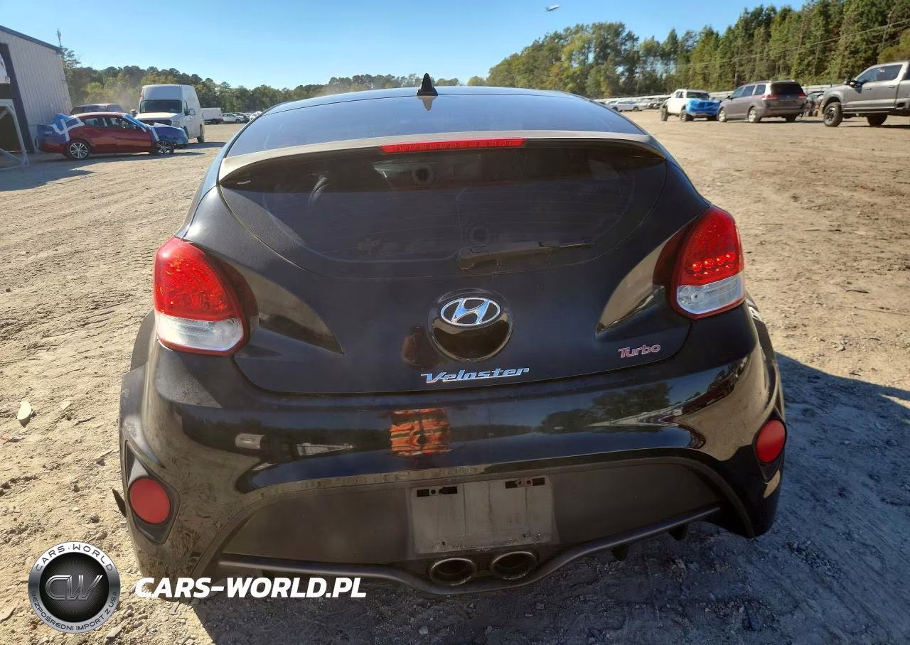 2013 Hyundai Veloster Turbo VIN:KMHTC6AE3DU181185 - 6