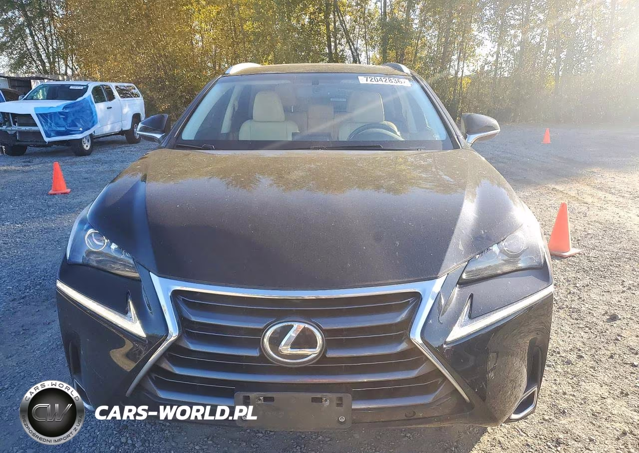 2015 Lexus Nx 200T VIN:JTJBARBZ1F2020032 - 5