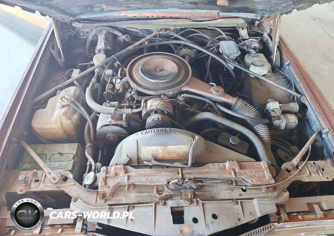 1985 Cadillac Eldorado VIN:1G6EL5782FE602080 - 11