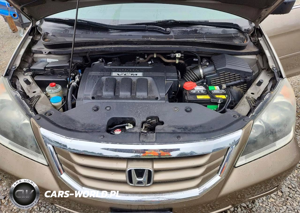 2009 Honda Odyssey Exl VIN:5FNRL38719B052804 - 12