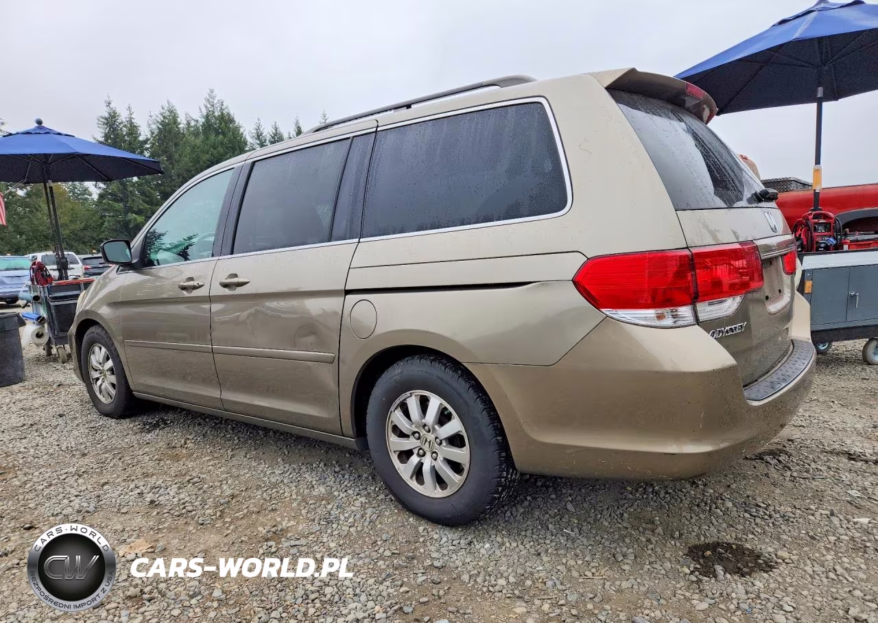 2009 Honda Odyssey Exl VIN:5FNRL38719B052804 - 2