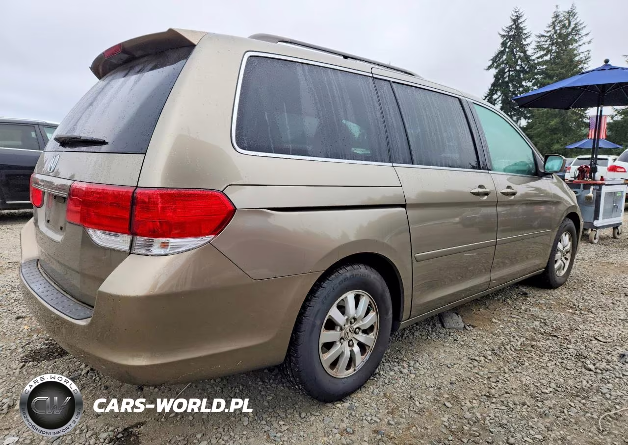 2009 Honda Odyssey Exl VIN:5FNRL38719B052804 - 3