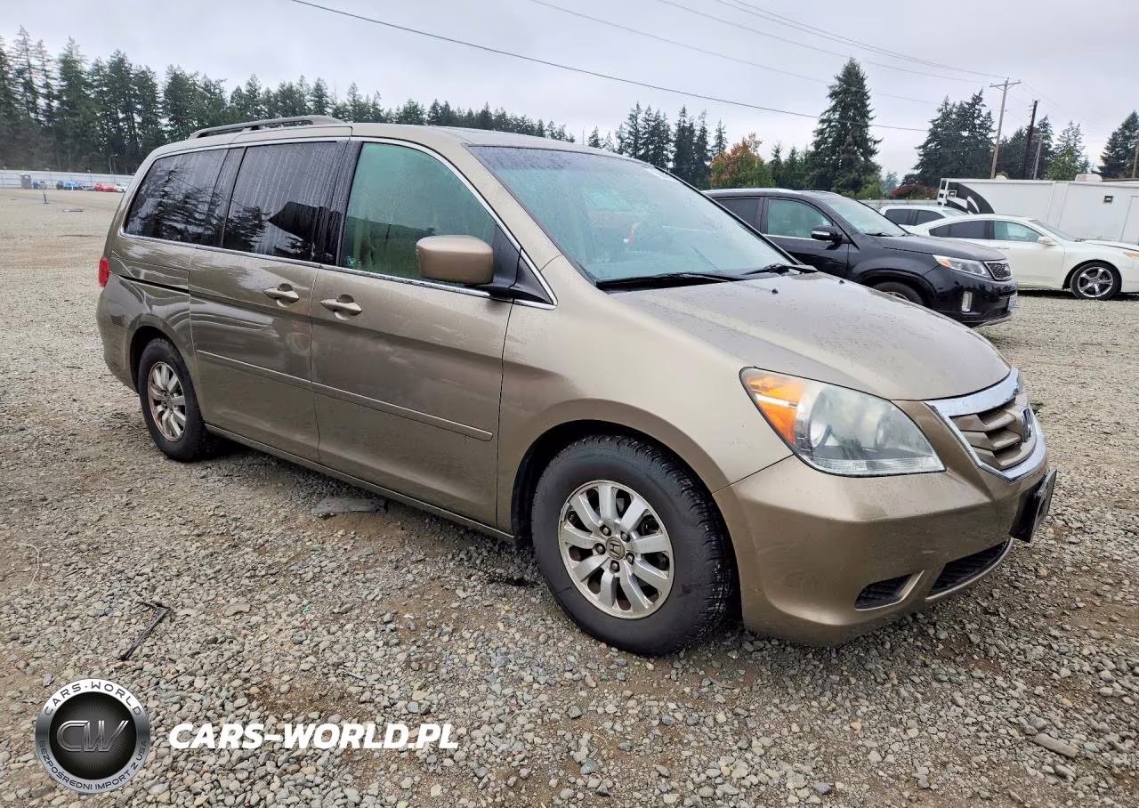 2009 Honda Odyssey Exl VIN:5FNRL38719B052804 - 4