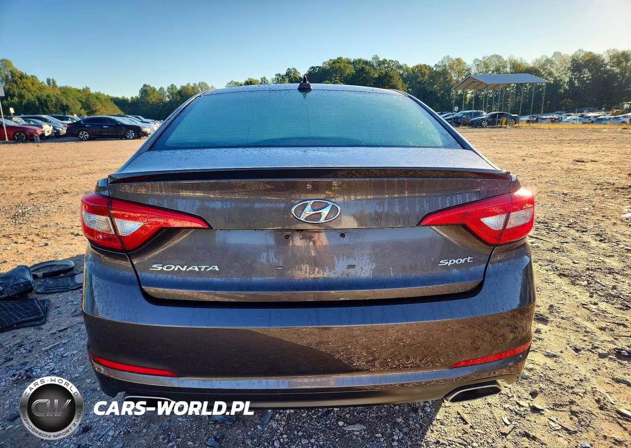 2016 Hyundai Sonata Sport VIN:5NPE34AF9GH328893 - 6