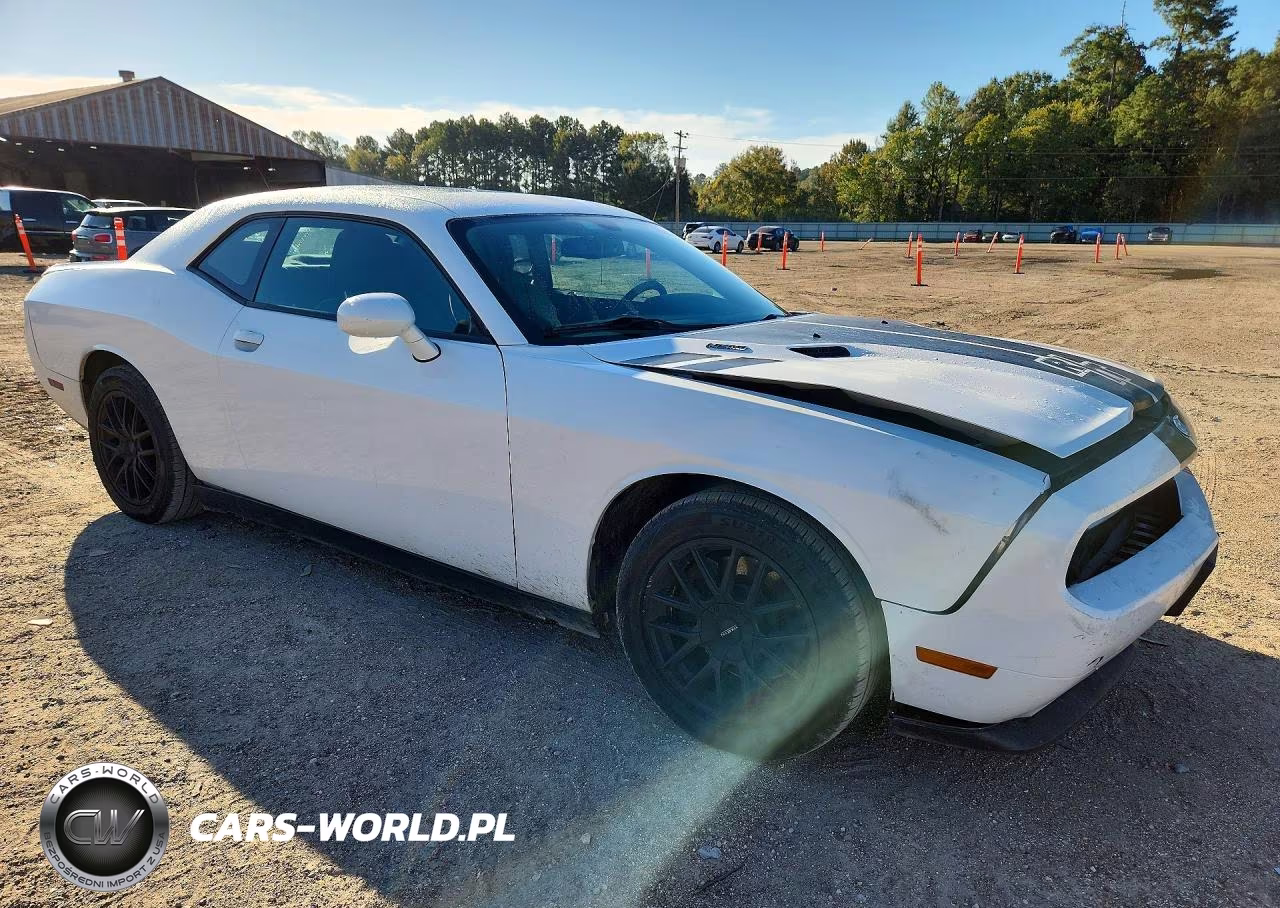 2014 Dodge Challenger R-T VIN:2C3CDYBT0EH205316 - 4