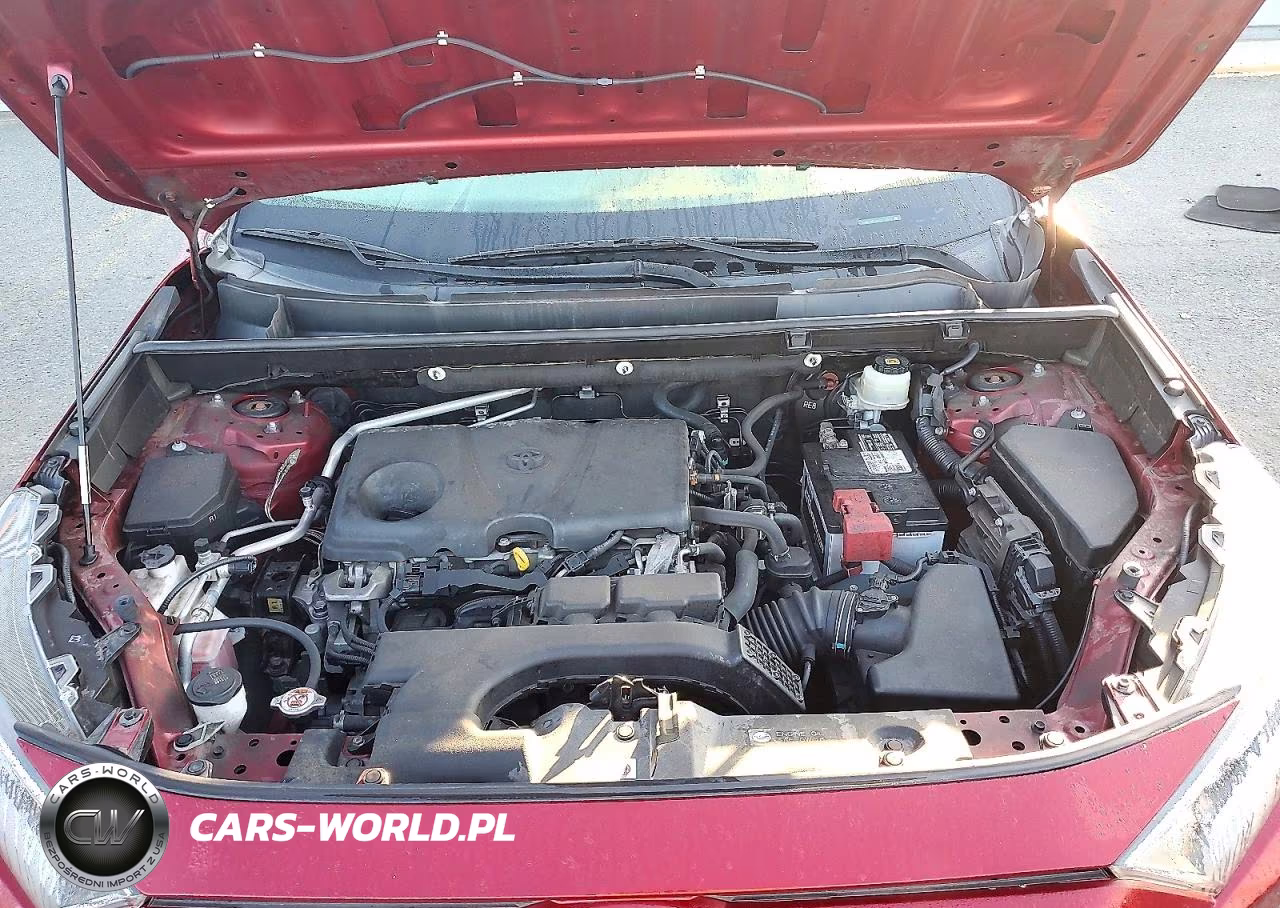2019 Toyota Rav4 Xle VIN:JTMP1RFV8KD513379 - 12
