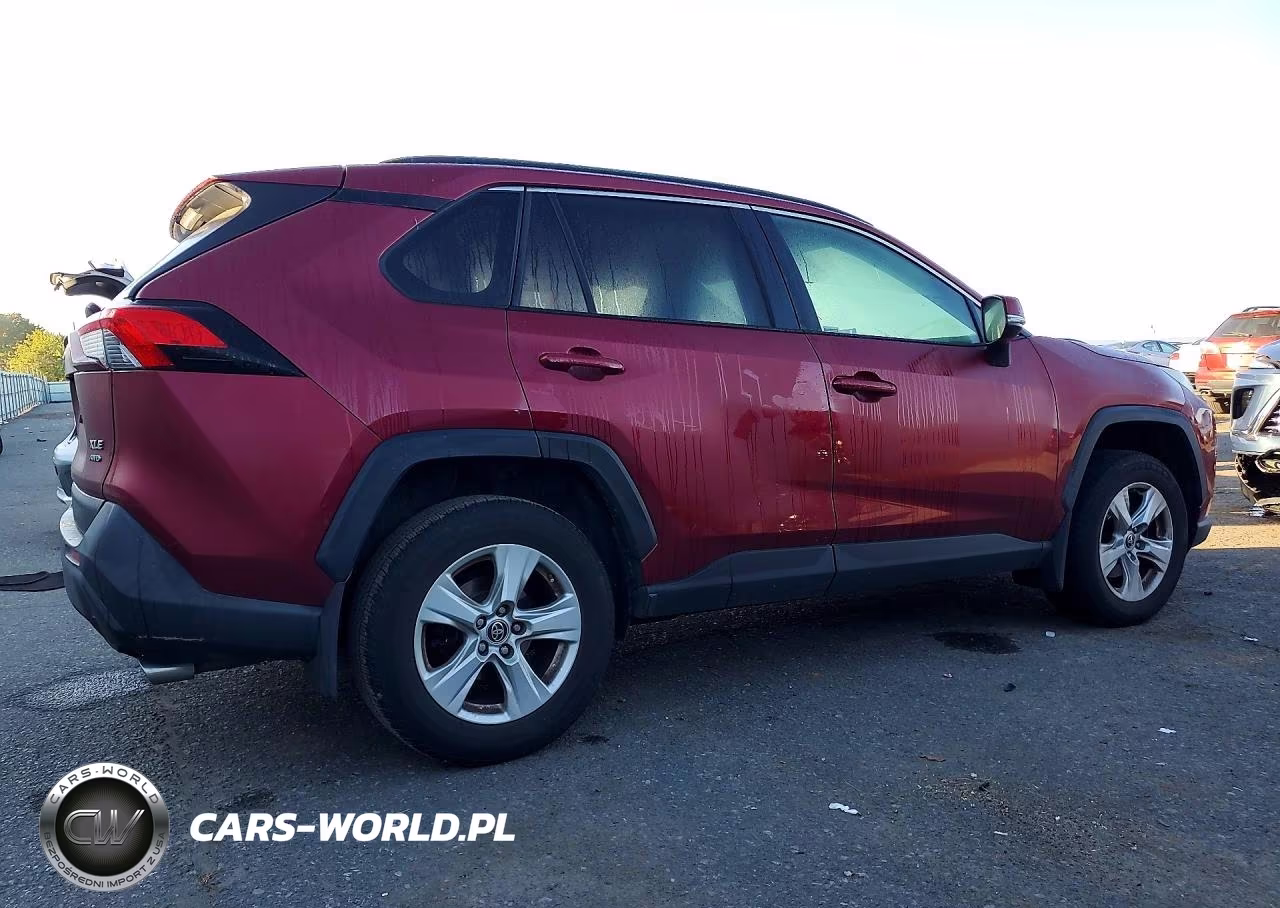 2019 Toyota Rav4 Xle VIN:JTMP1RFV8KD513379 - 3