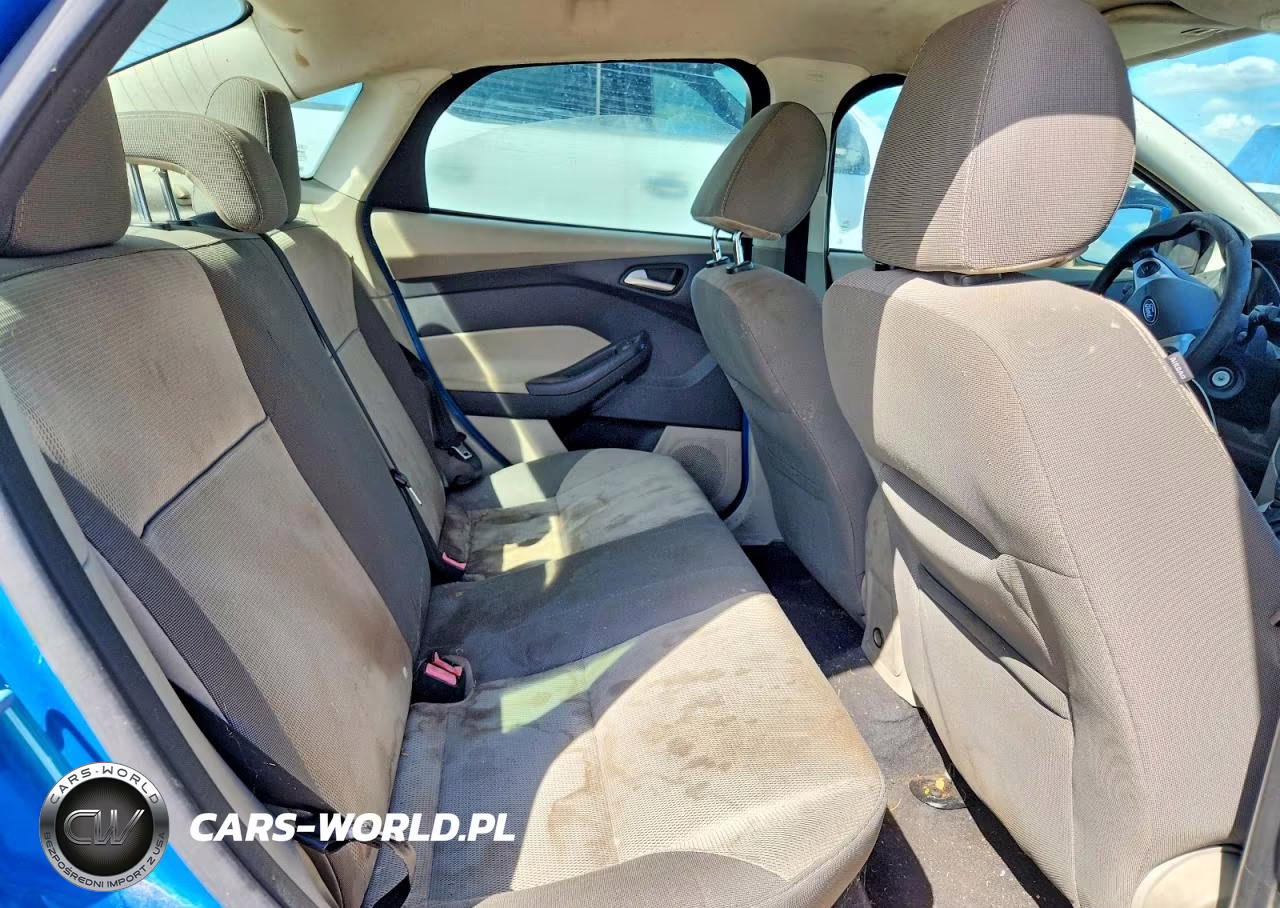 2014 Ford Focus Se VIN:1FADP3F25EL117494 - 10
