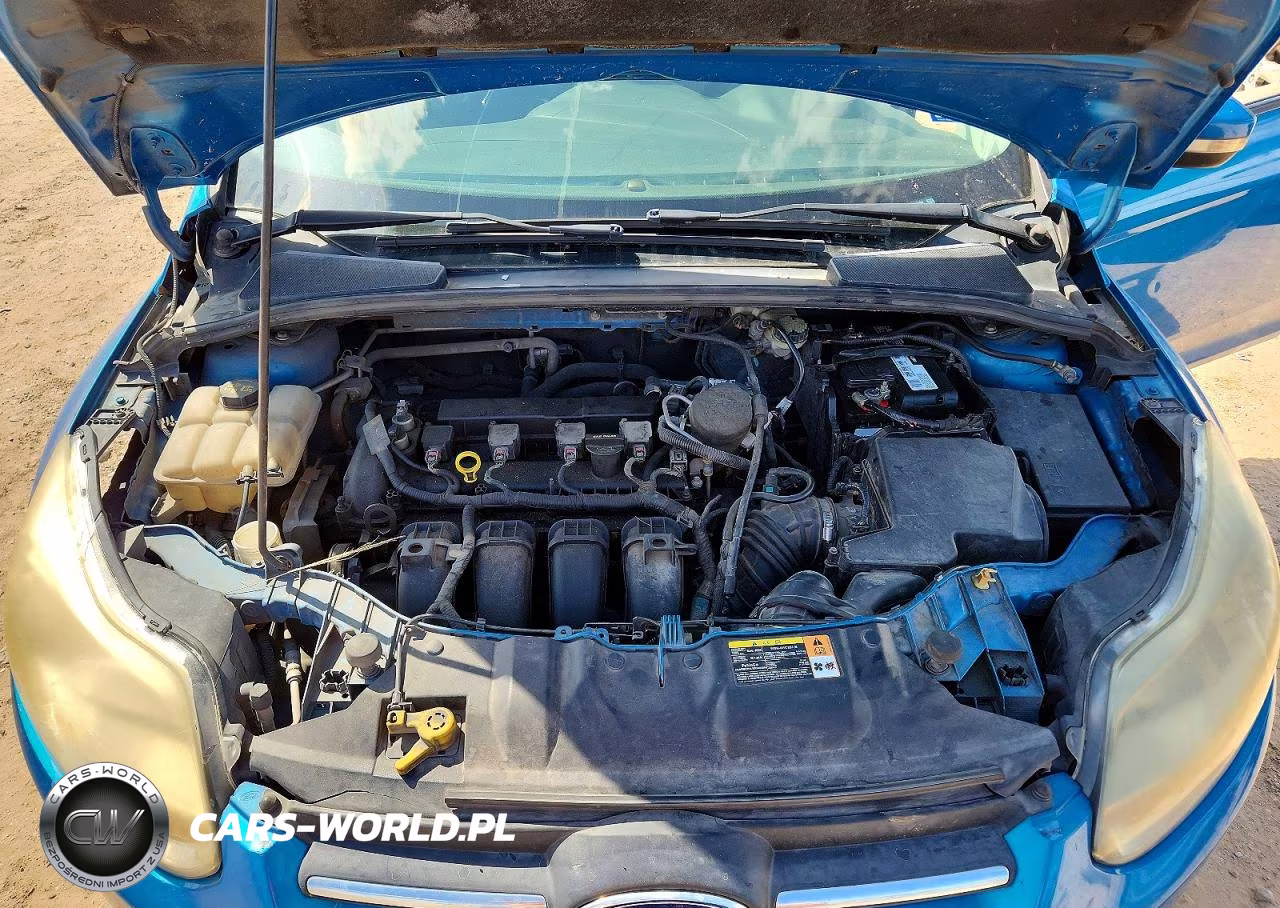 2014 Ford Focus Se VIN:1FADP3F25EL117494 - 11