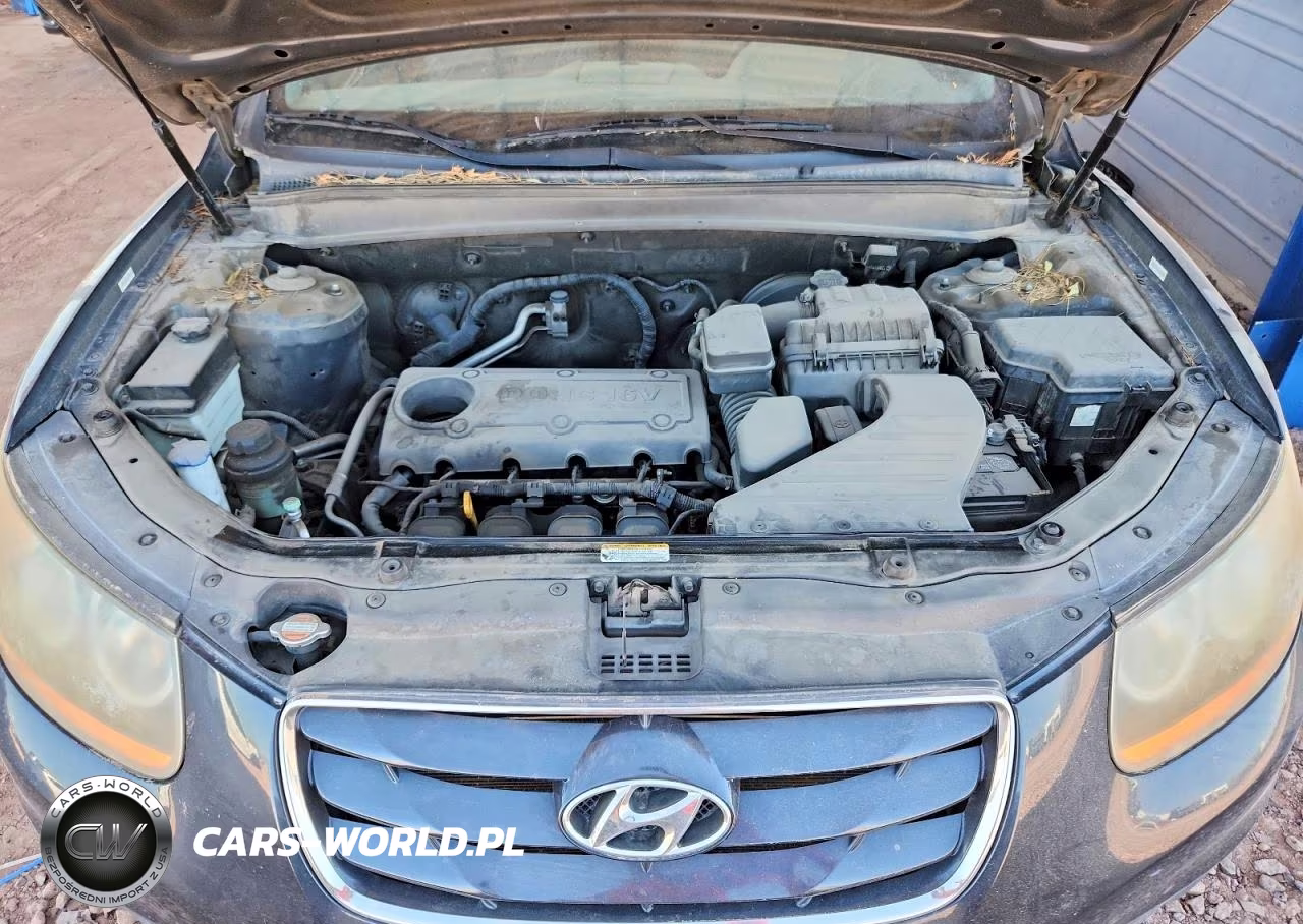 2010 Hyundai Santa Fe Gls VIN:5NMSG3AB7AH351298 - 12
