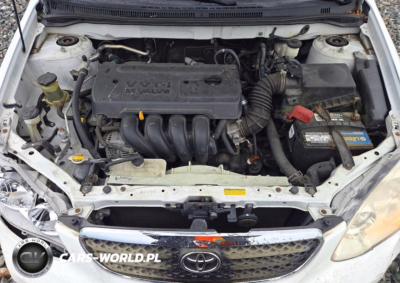 2008 Toyota Corolla Ce VIN:1NXBR32E28Z049905 - 11