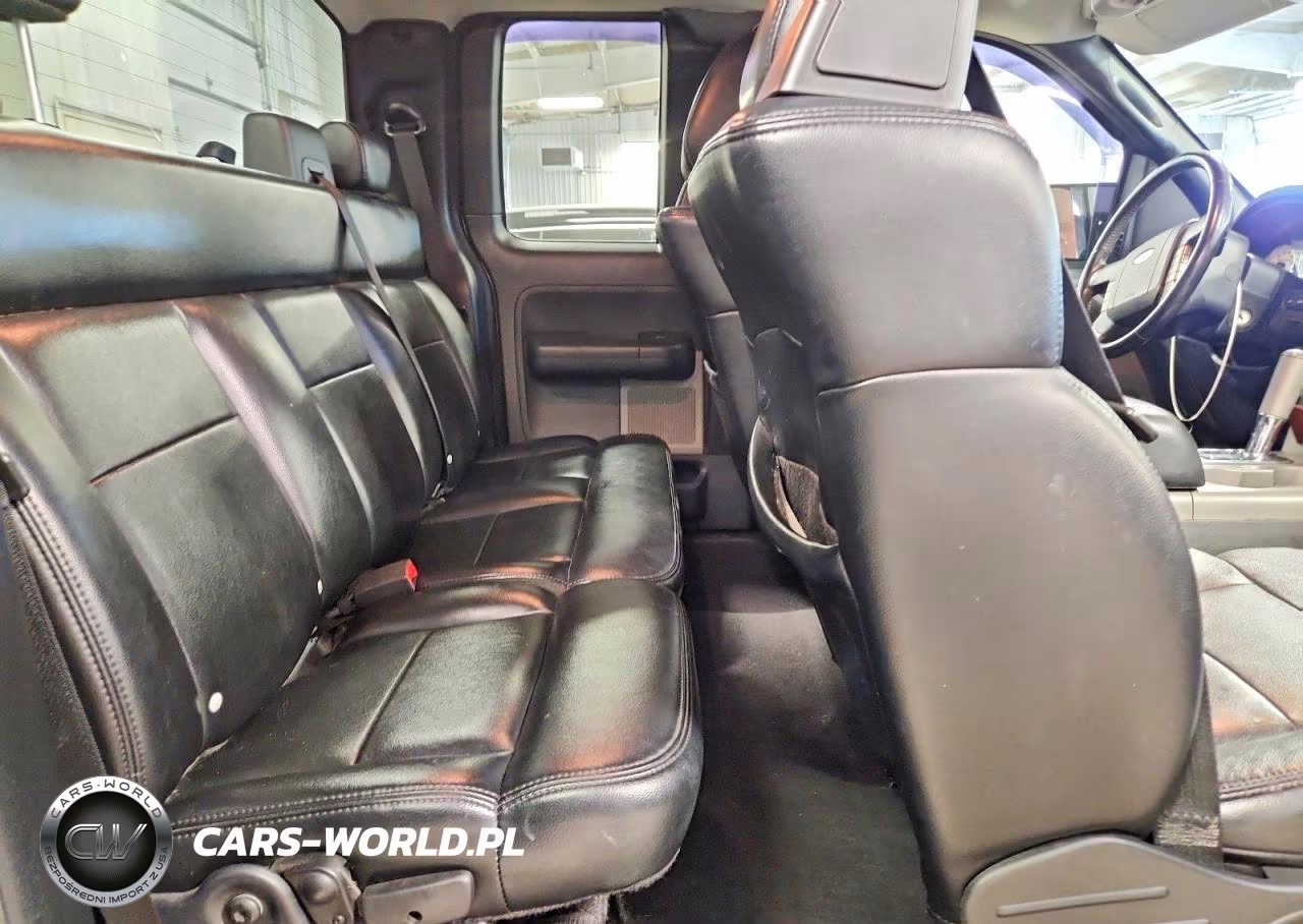 2005 Ford F-150 Fx4-Lariat-Xl-Xlt VIN:1FTPX14595NA85534 - 10
