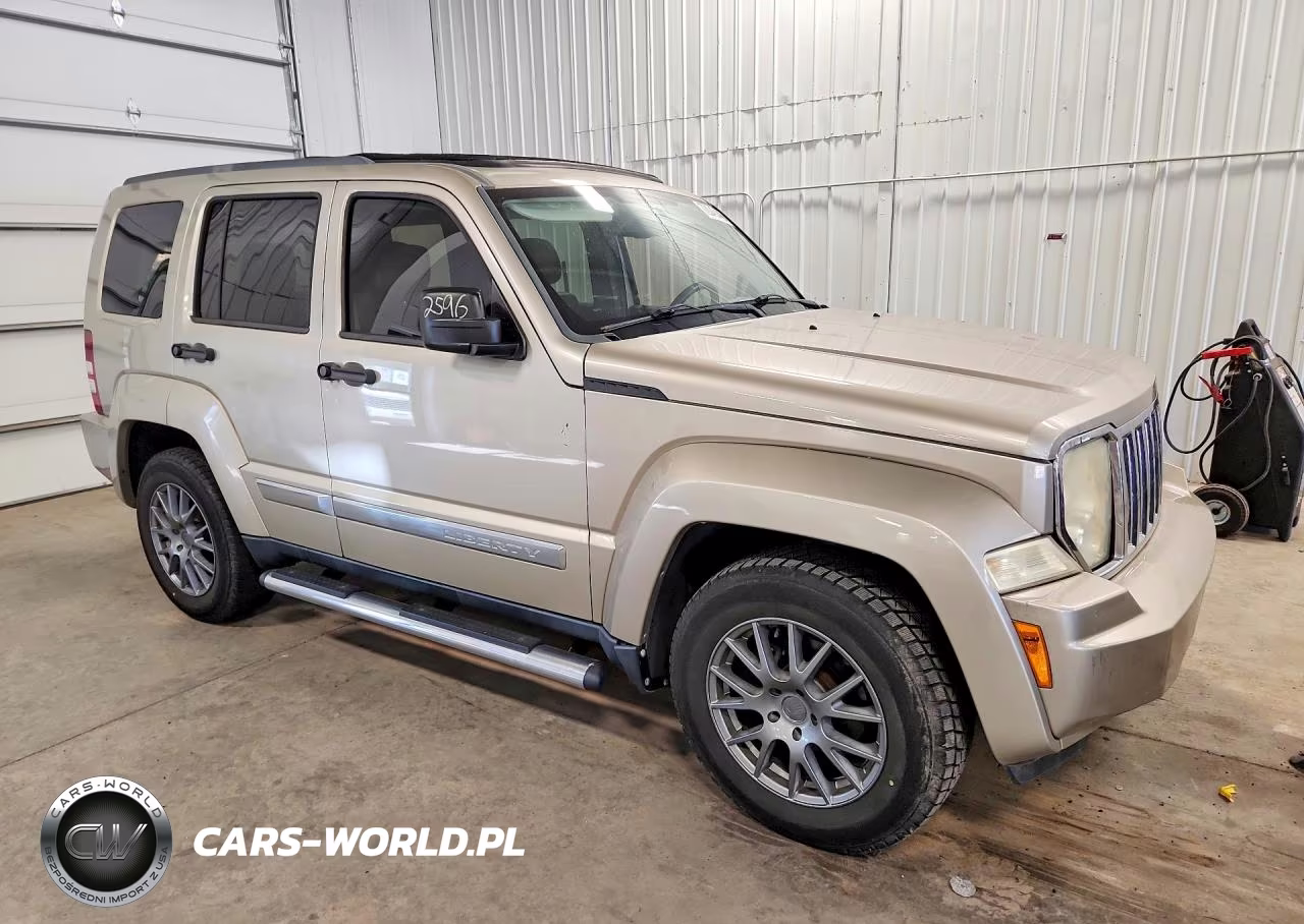 2010 JEEP LIBERTY LIMITED VIN:1J4PN5GK3AW150858 - 4
