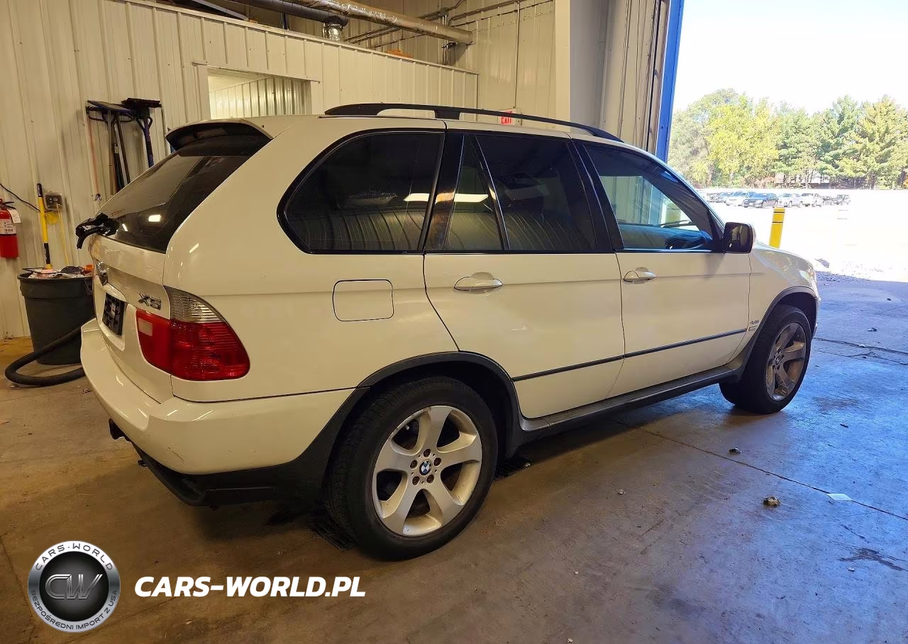 2006 BMW X5 4.4I VIN:5UXFB53536LV22751 - 3