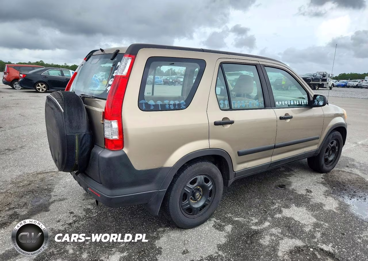 2005 Honda Cr-V Lx VIN:JHLRD68505C005917 - 3