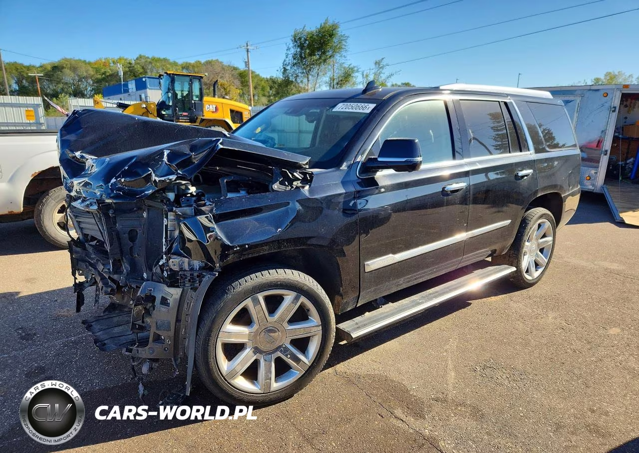 2019 Cadillac Escalade Luxury VIN:1GYS4BKJ8KR218145 - 1