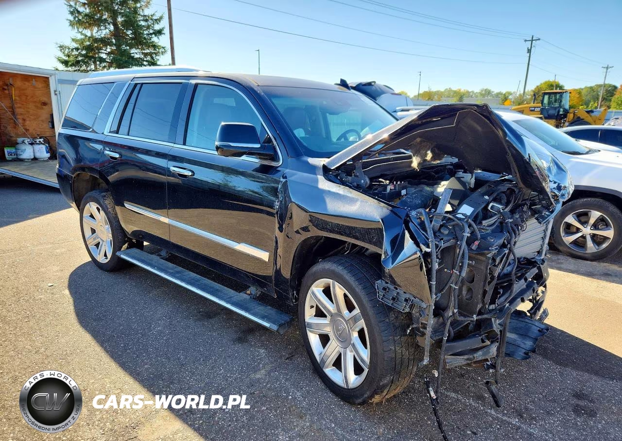 2019 Cadillac Escalade Luxury VIN:1GYS4BKJ8KR218145 - 4