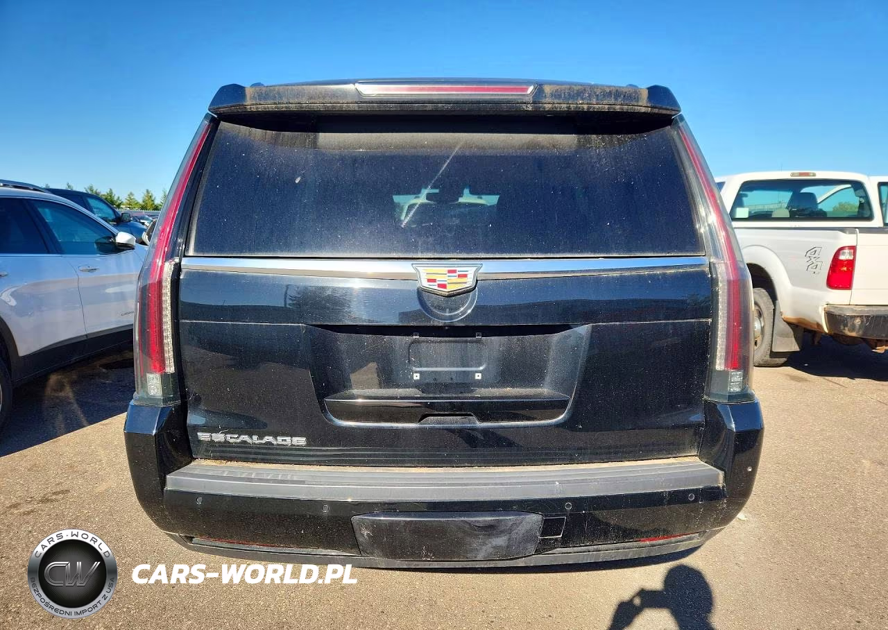 2019 Cadillac Escalade Luxury VIN:1GYS4BKJ8KR218145 - 6