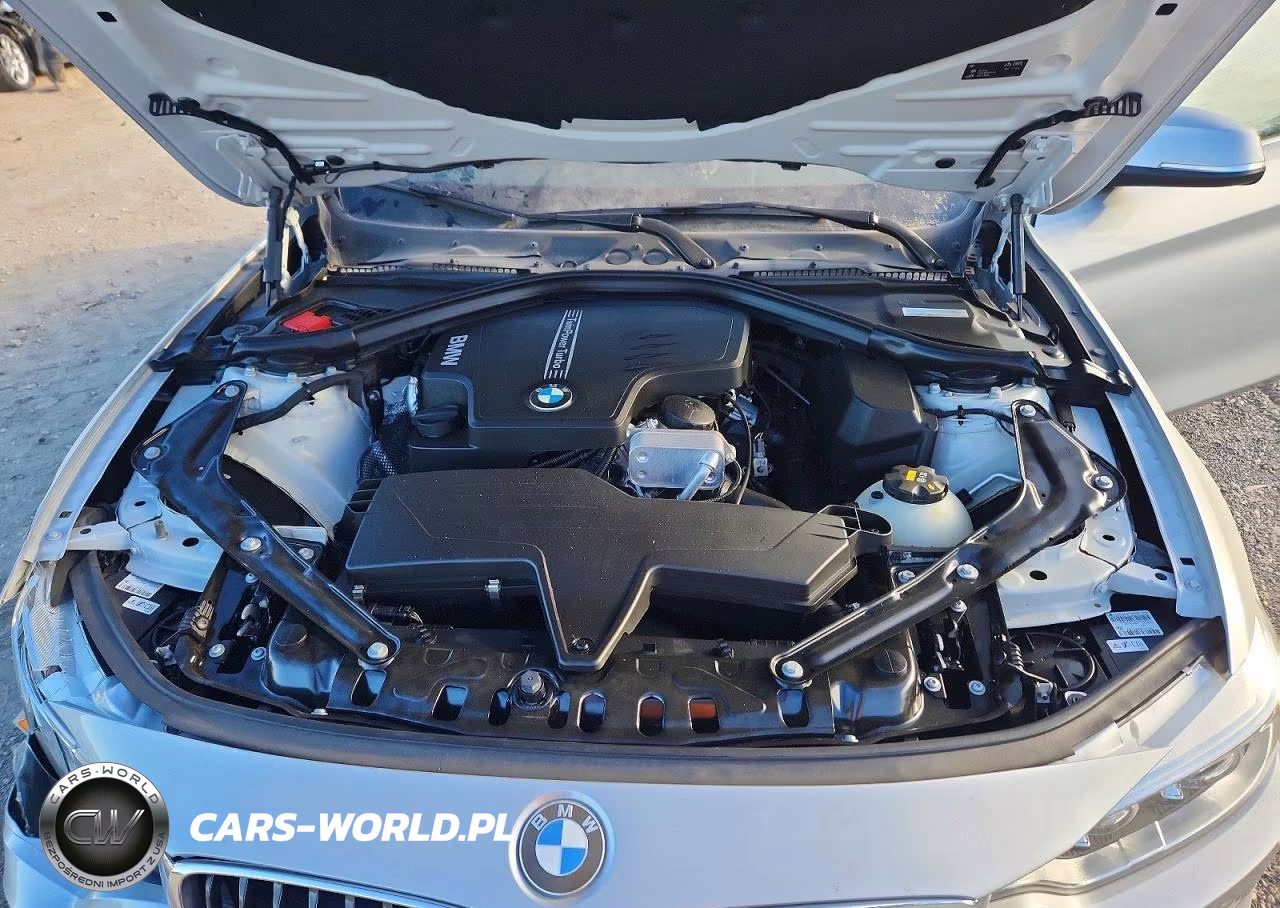 2016 BMW 428 I Sulev VIN:WBA3V7C54G5A24734 - 11