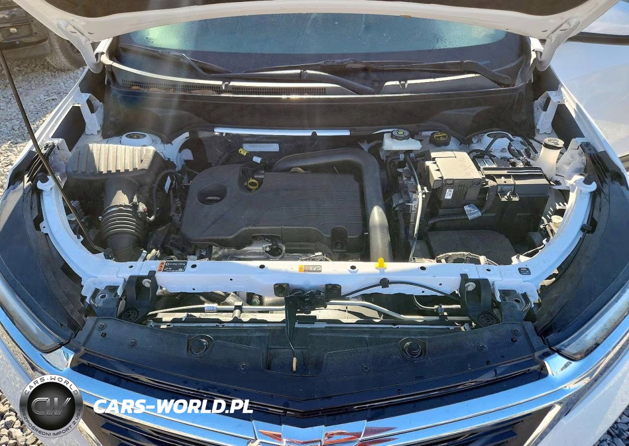 2024 Chevrolet Equinox Lt VIN:3GNAXKEG2RL374134 - 12