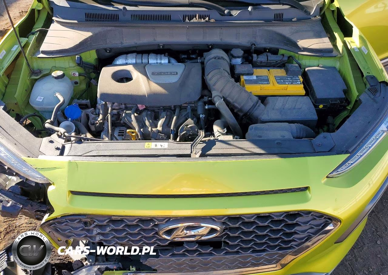 2019 Hyundai Kona Ultimate VIN:KM8K5CA50KU265353 - 11