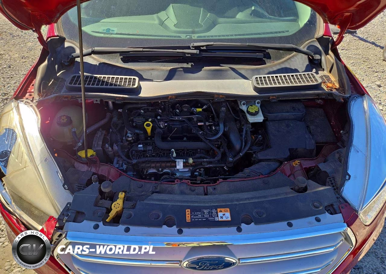 2019 Ford Escape Se VIN:1FMCU0GD0KUA87609 - 12