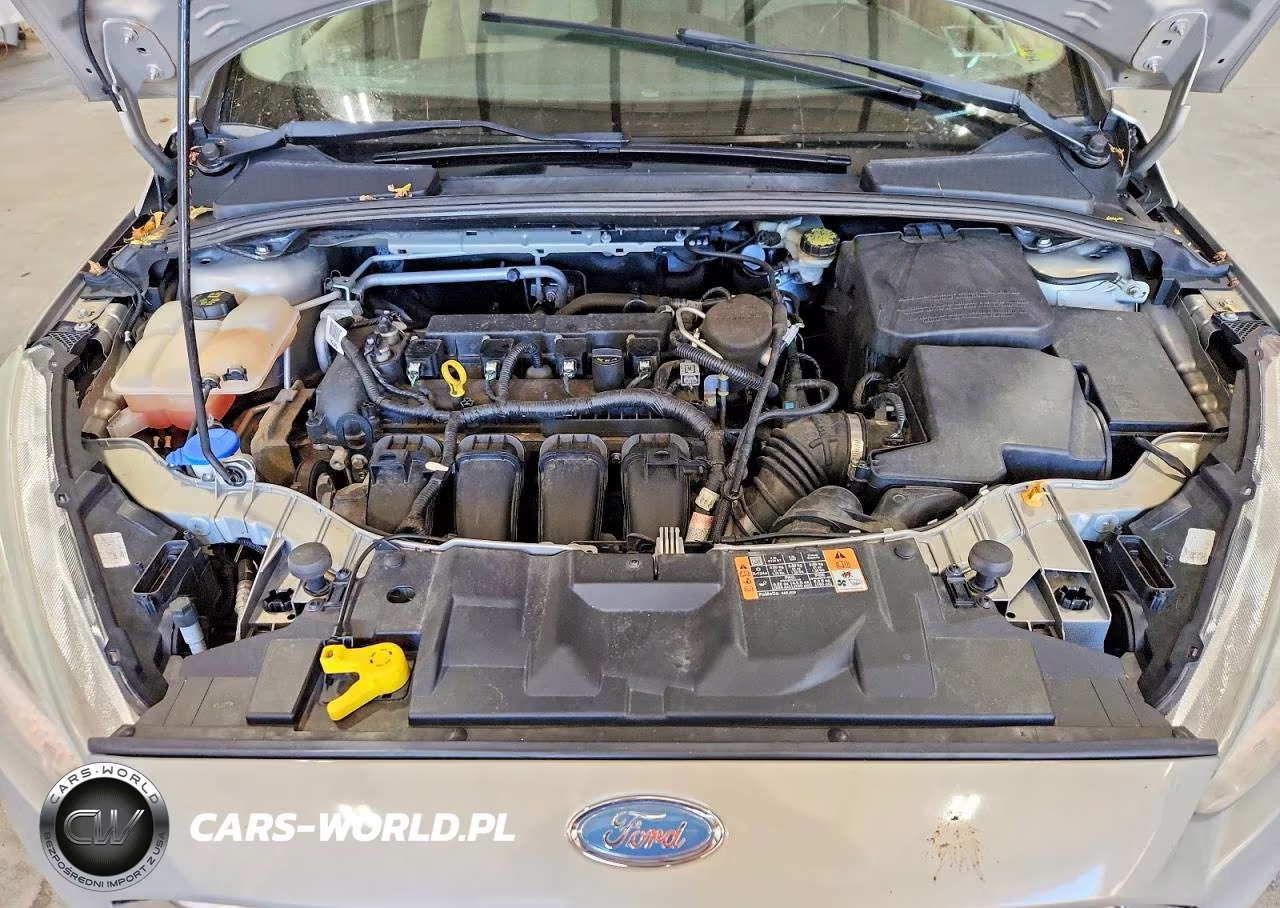 2016 Ford Focus Se VIN:1FADP3K22GL309111 - 11