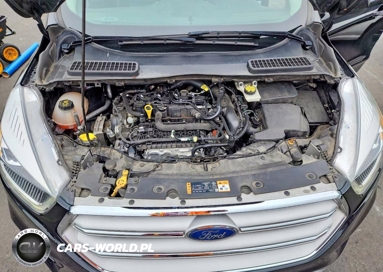 2019 Ford Escape Sel VIN:1FMCU9HD3KUB29063 - 11