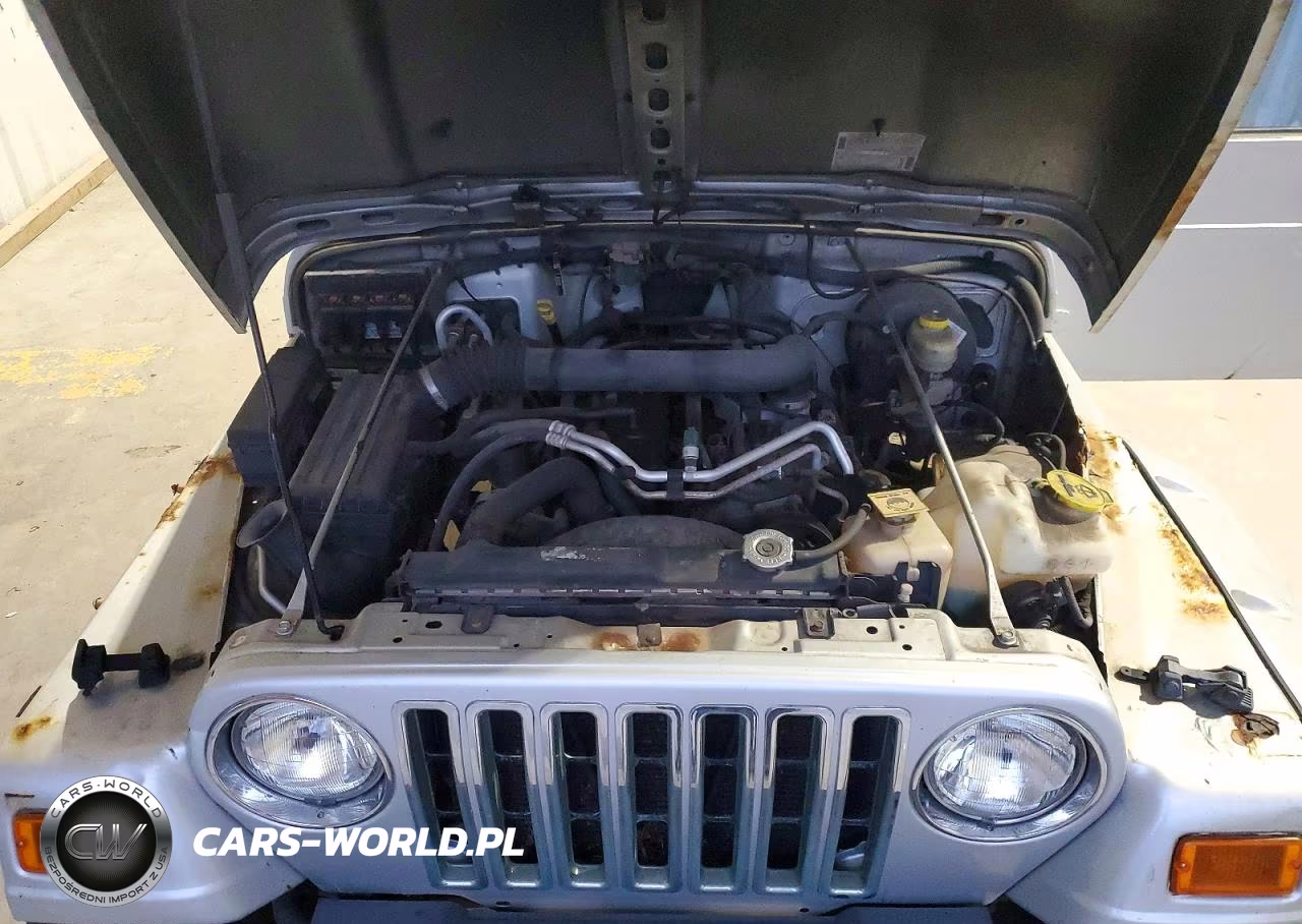 2006 Jeep Wrangler X VIN:1J4FA39S66P742619 - 11