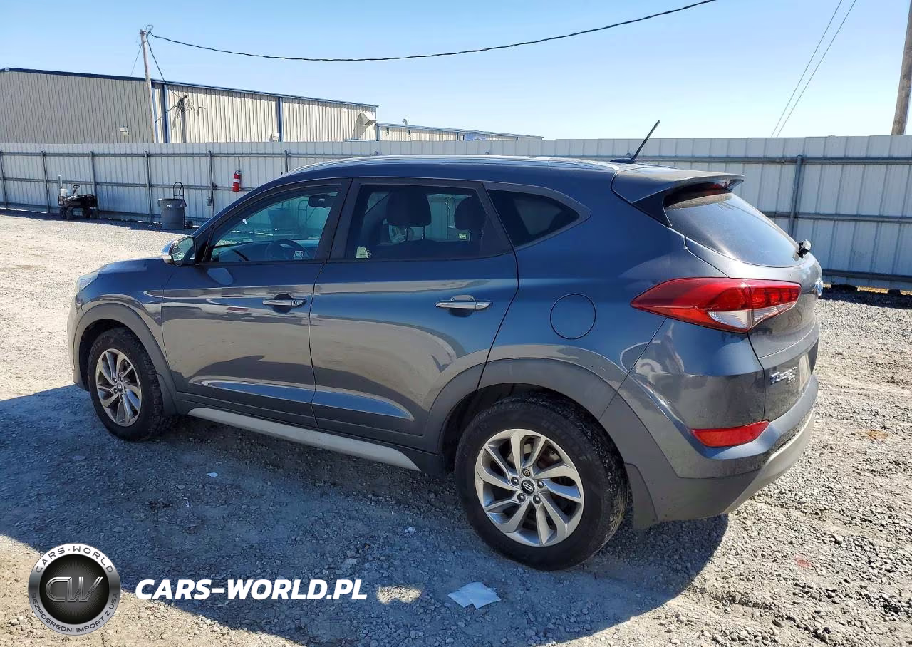 2017 Hyundai Tucson Eco VIN:KM8J3CA20HU393155 - 2