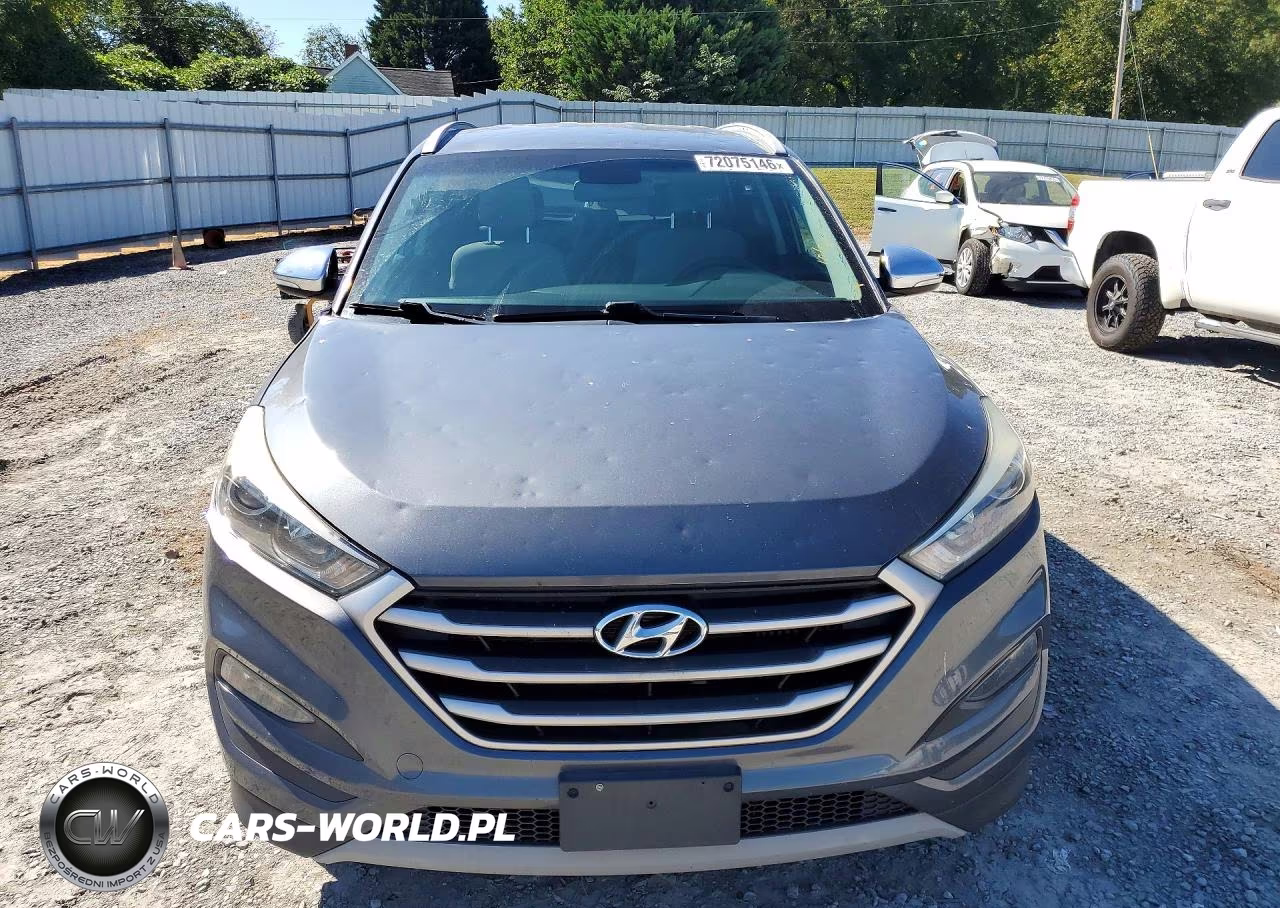 2017 Hyundai Tucson Eco VIN:KM8J3CA20HU393155 - 5