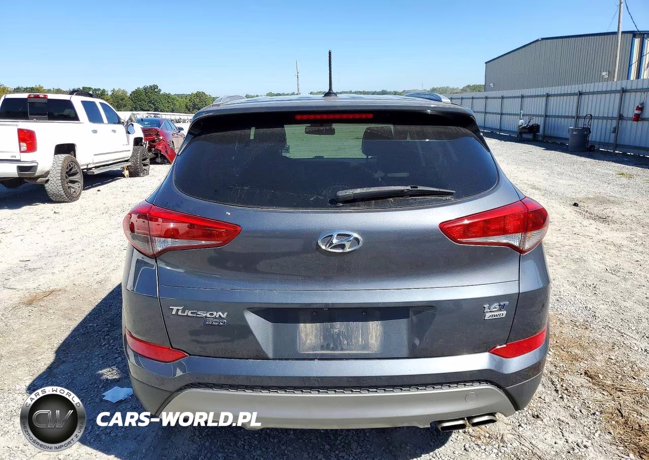 2017 Hyundai Tucson Eco VIN:KM8J3CA20HU393155 - 6