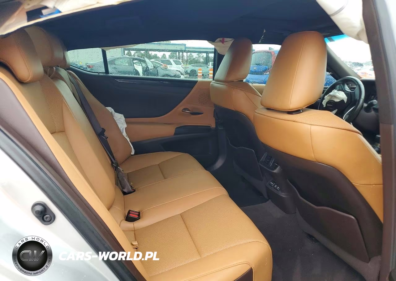 2019 Lexus Es 350 VIN:58ABZ1B19KU009032 - 10