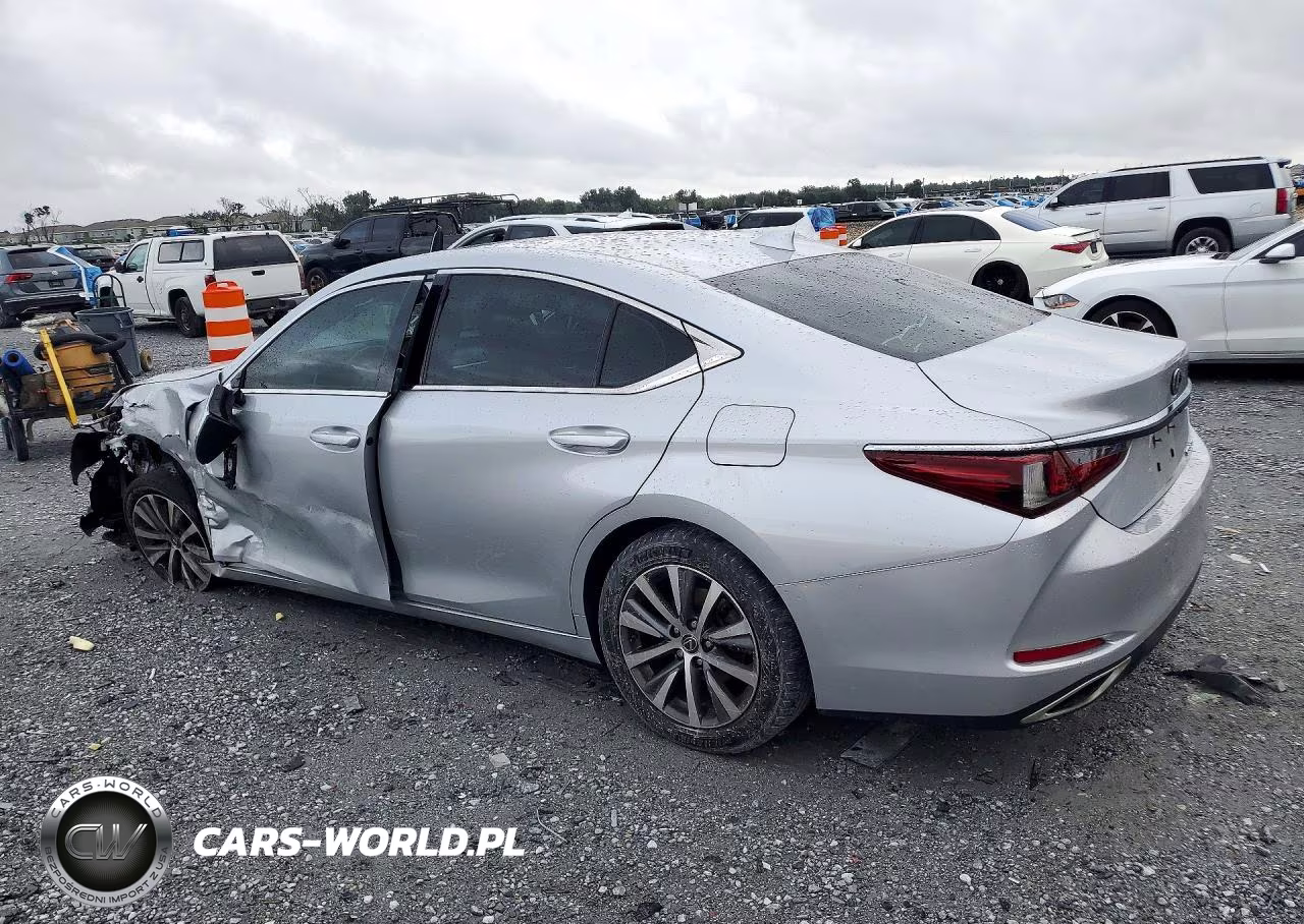 2019 Lexus Es 350 VIN:58ABZ1B19KU009032 - 2