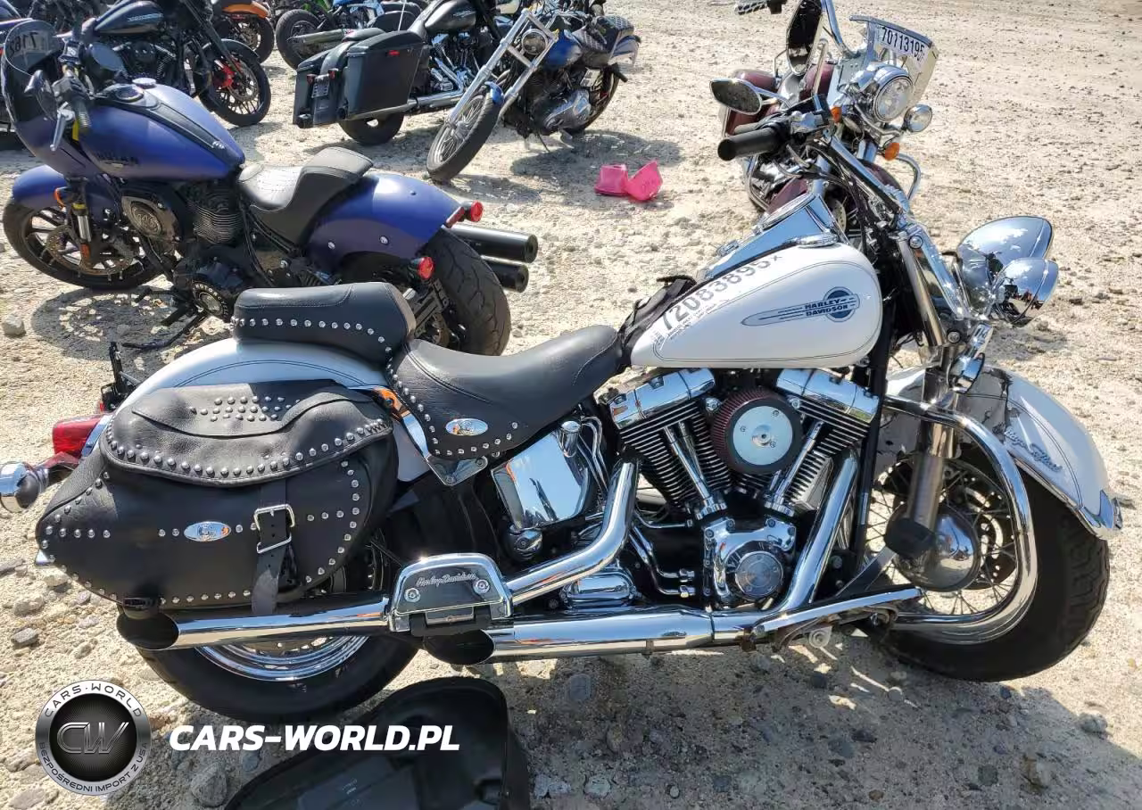 2004 Harley-Davidson Flstci